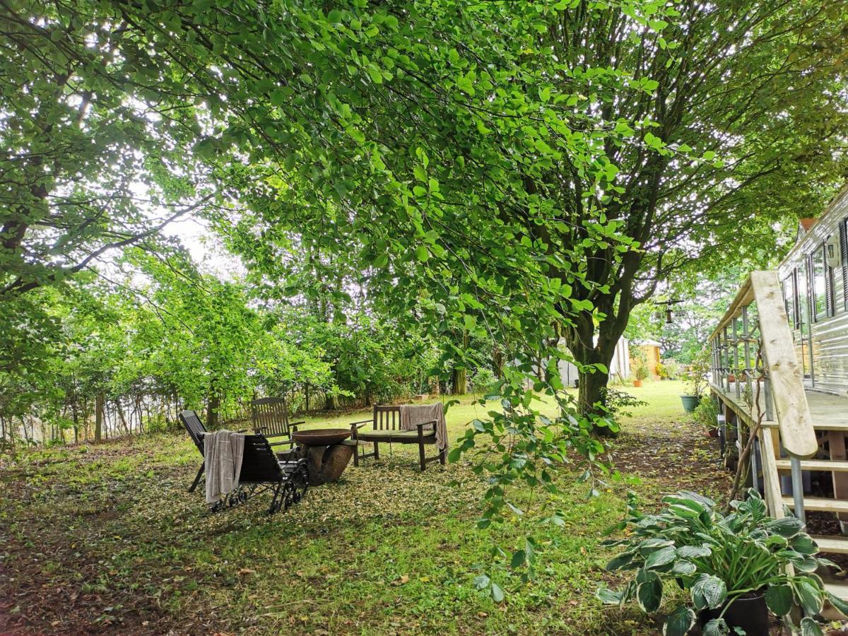 Doughery Den The Dark Hedges Hideaway Armoy Экстерьер фото