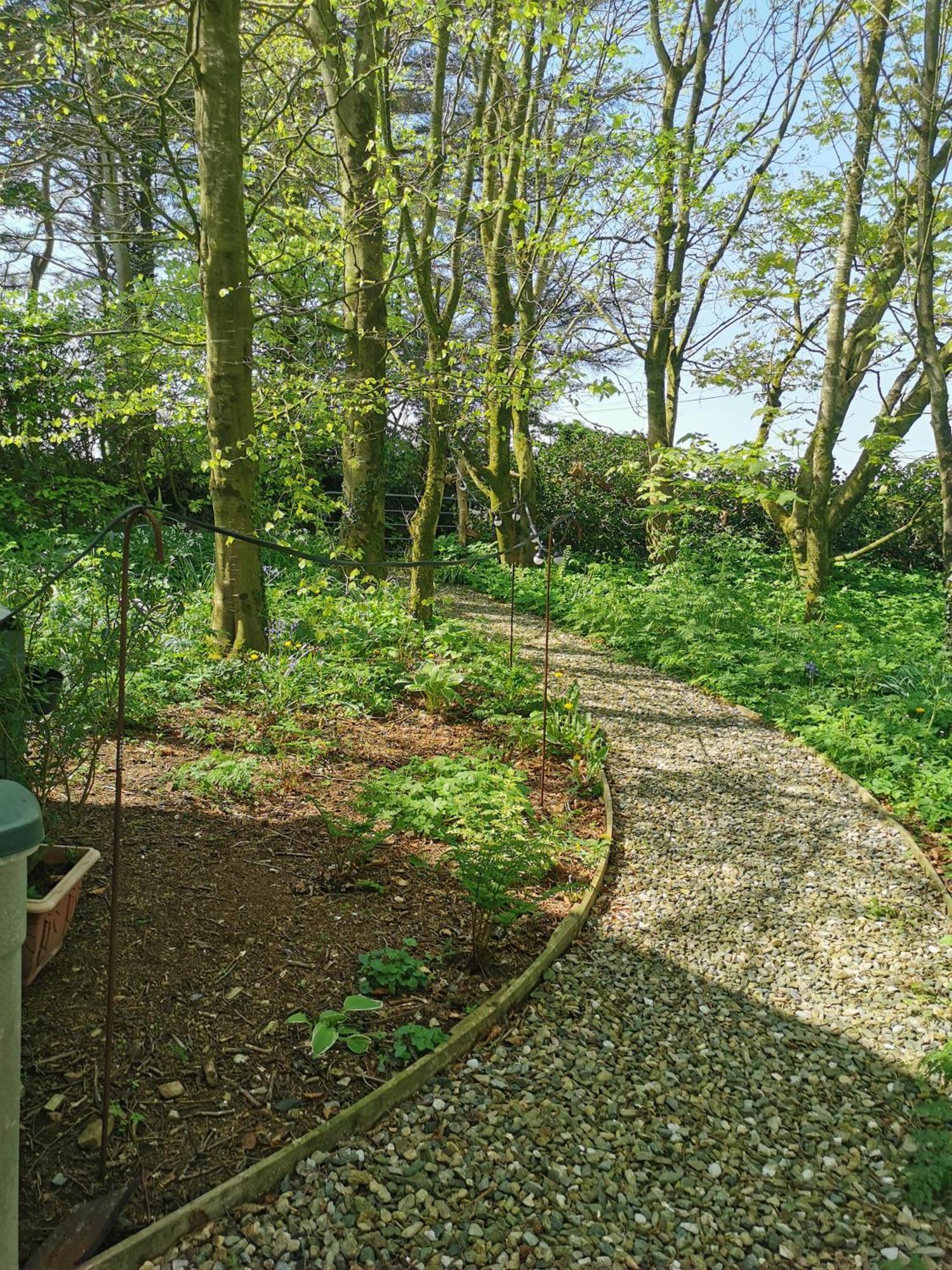 Doughery Den The Dark Hedges Hideaway Armoy Экстерьер фото